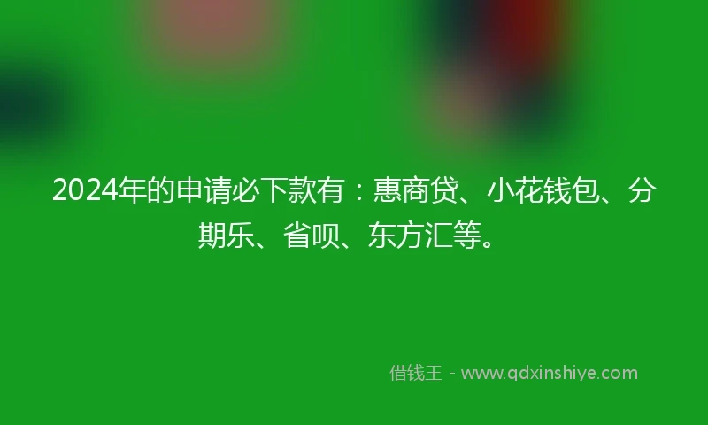 2024年的申请必下款有：惠商贷、小花钱包、分期乐、省呗、东方汇等。