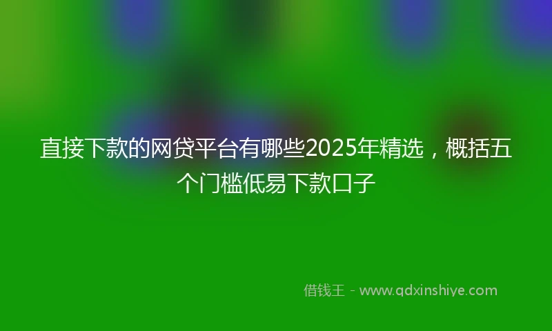 直接下款的网贷平台有哪些2025年精选，概括五个门槛低易下款口子