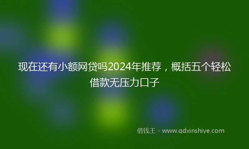 现在还有小额网贷吗2024年推荐，概括五个轻松借款无压力口子