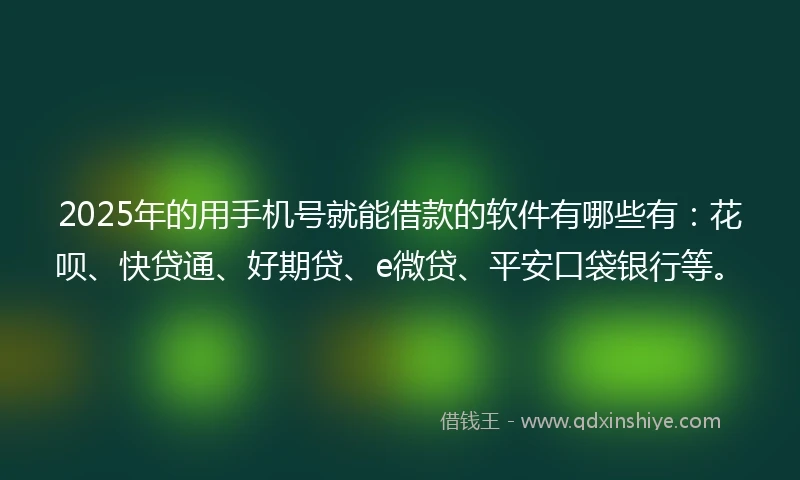 2025年的用手机号就能借款的软件有哪些有：花呗、快贷通、好期贷、e微贷、平安口袋银行等。