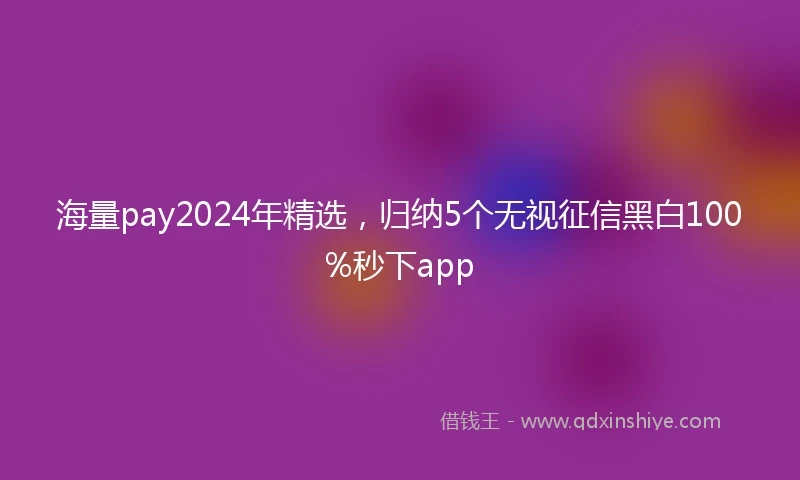 海量pay2024年精选，归纳5个无视征信黑白100%秒下app