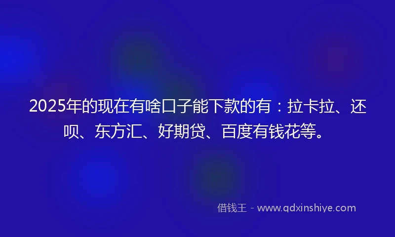 2025年的现在有啥口子能下款的有：拉卡拉、还呗、东方汇、好期贷、百度有钱花等。