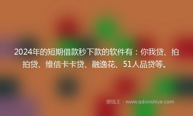 2024年的短期借款秒下款的软件有：你我贷、拍拍贷、维信卡卡贷、融逸花、51人品贷等。