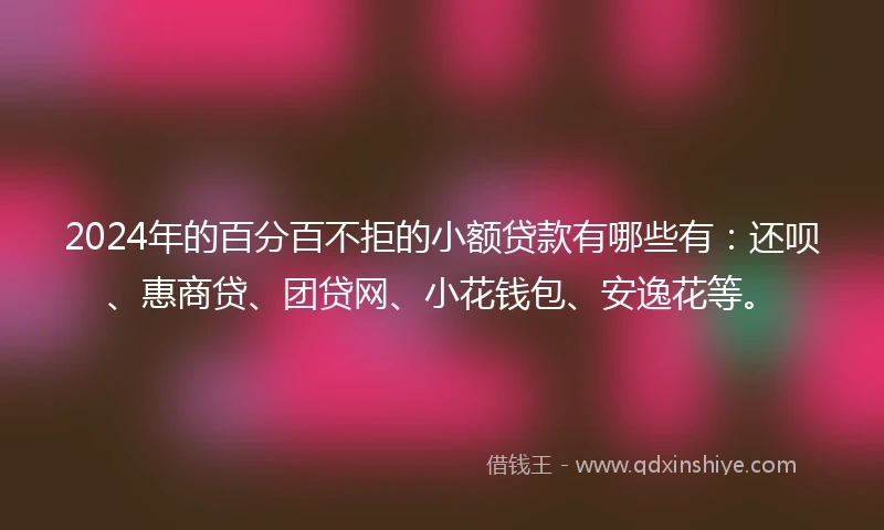2024年的百分百不拒的小额贷款有哪些有：还呗、惠商贷、团贷网、小花钱包、安逸花等。