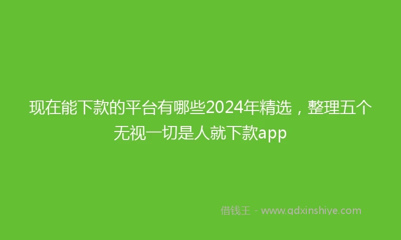 现在能下款的平台有哪些2024年精选，整理五个无视一切是人就下款app