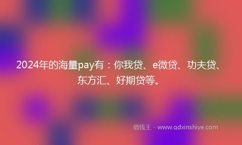 2024年的海量pay有：你我贷、e微贷、功夫贷、东方汇、好期贷等。
