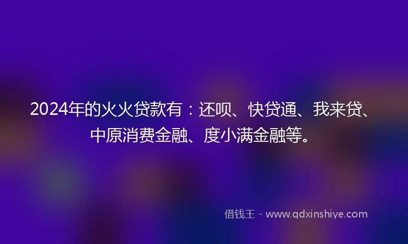 2024年的火火贷款有：还呗、快贷通、我来贷、中原消费金融、度小满金融等。