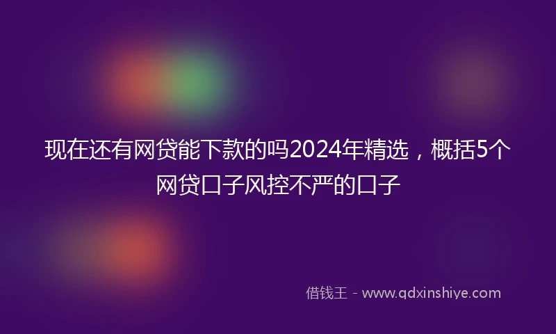 现在还有网贷能下款的吗2024年精选，概括5个网贷口子风控不严的口子