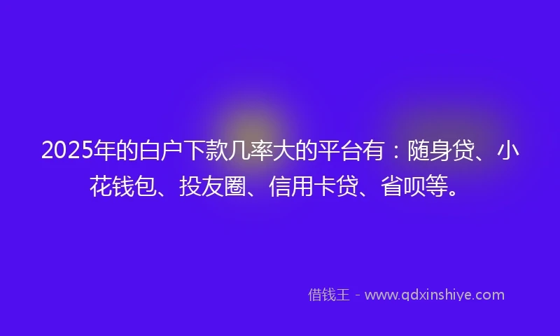 2025年的白户下款几率大的平台有：随身贷、小花钱包、投友圈、信用卡贷、省呗等。