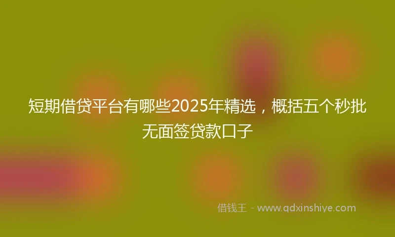 短期借贷平台有哪些2025年精选，概括五个秒批无面签贷款口子