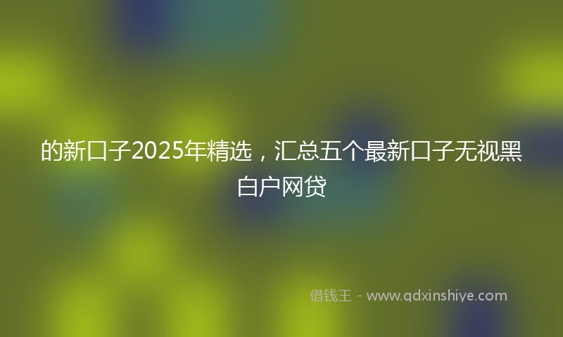的新口子2025年精选，汇总五个最新口子无视黑白户网贷