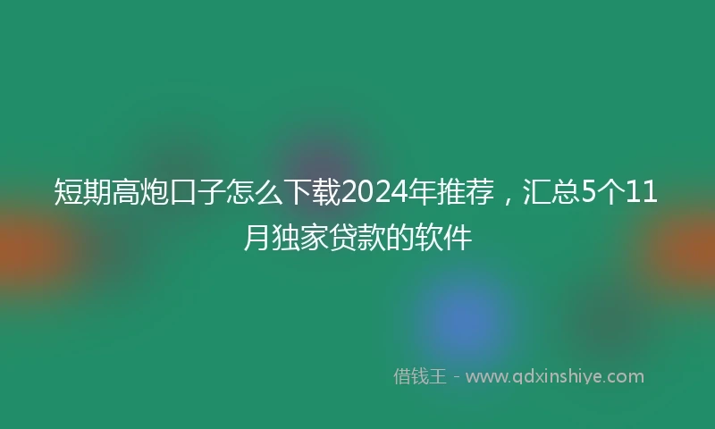短期高炮口子怎么下载2024年推荐，汇总5个11月独家贷款的软件