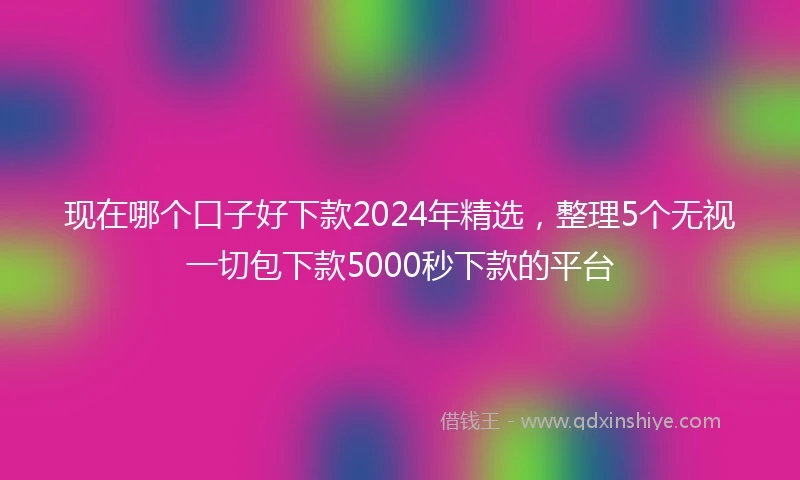 现在哪个口子好下款2024年精选,整理5个无视一切包下款5000秒下款的平台