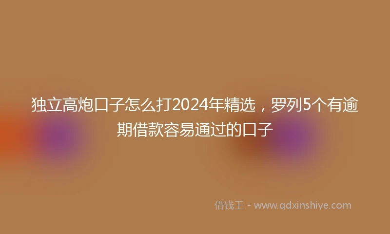 独立高炮口子怎么打2024年精选，罗列5个有逾期借款容易通过的口子