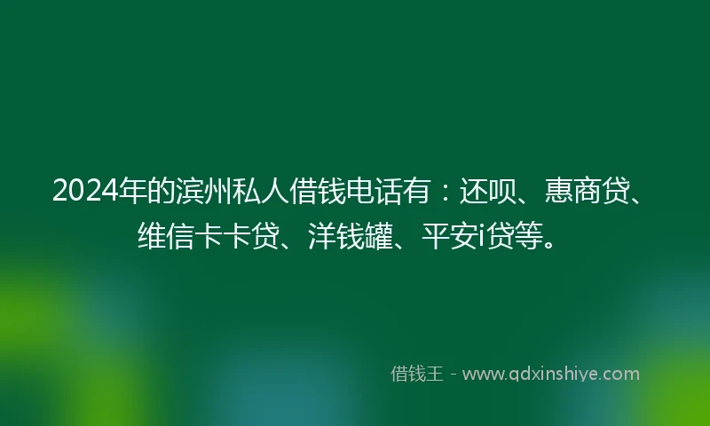 2024年的滨州私人借钱电话有：还呗、惠商贷、维信卡卡贷、洋钱罐、平安i贷等。