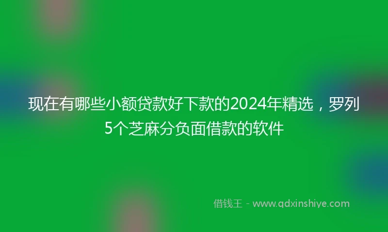现在有哪些小额贷款好下款的2024年精选，罗列5个芝麻分负面借款的软件