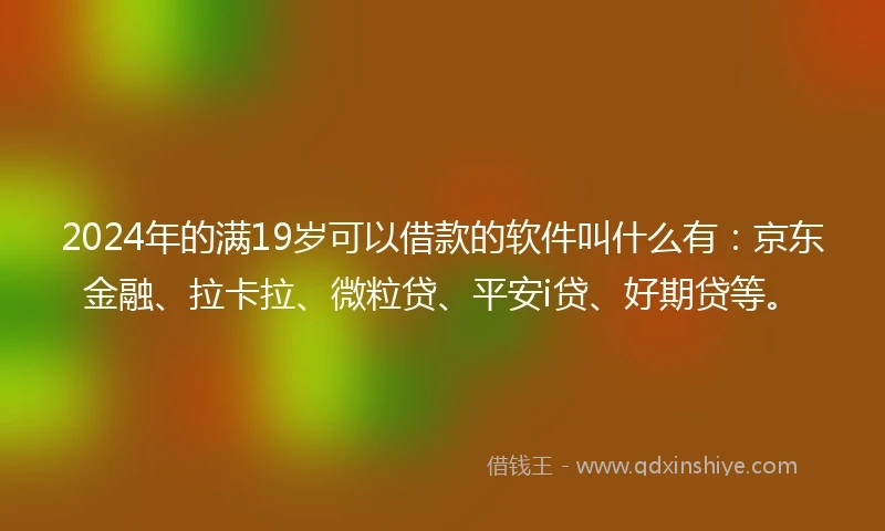 2024年的满19岁可以借款的软件叫什么有：京东金融、拉卡拉、微粒贷、平安i贷、好期贷等。