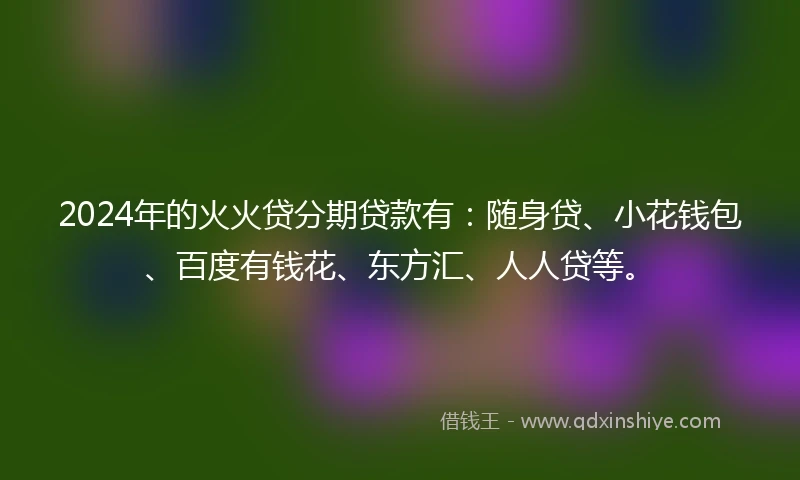 2024年的火火贷分期贷款有：随身贷、小花钱包、百度有钱花、东方汇、人人贷等。