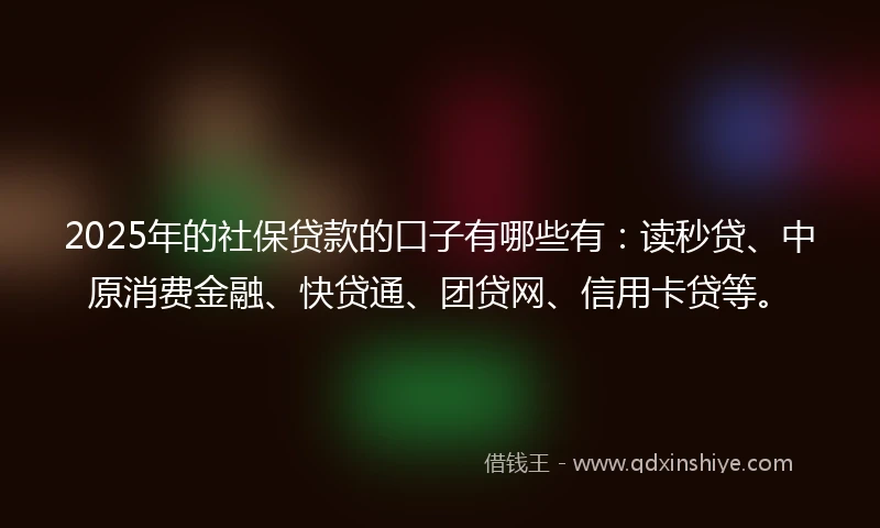 2025年的社保贷款的口子有哪些有：读秒贷、中原消费金融、快贷通、团贷网、信用卡贷等。