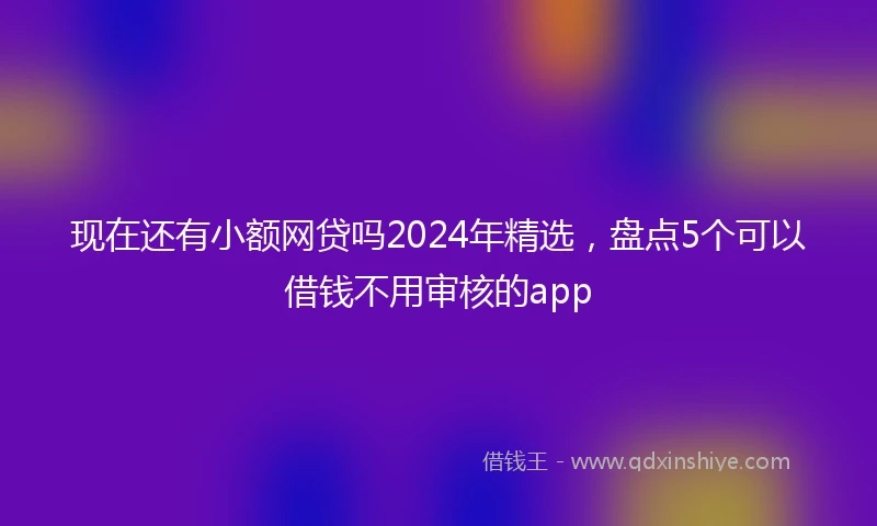 现在还有小额网贷吗2024年精选，盘点5个可以借钱不用审核的app