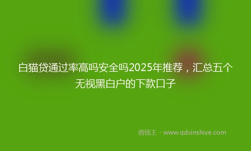 白猫贷通过率高吗安全吗2025年推荐，汇总五个无视黑白户的下款口子