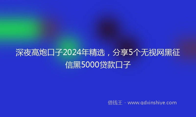 深夜高炮口子2024年精选，分享5个无视网黑征信黑5000贷款口子