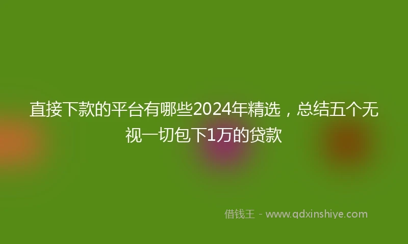 直接下款的平台有哪些2024年精选，总结五个无视一切包下1万的贷款