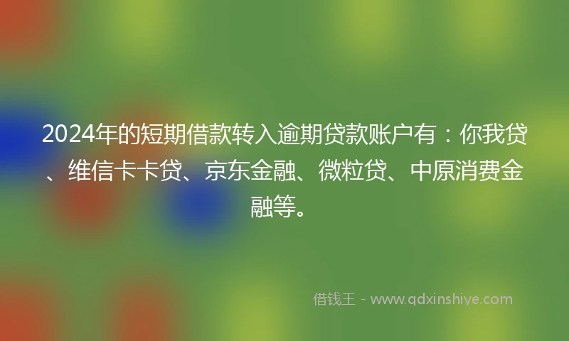 2024年的短期借款转入逾期贷款账户有：你我贷、维信卡卡贷、京东金融、微粒贷、中原消费金融等。