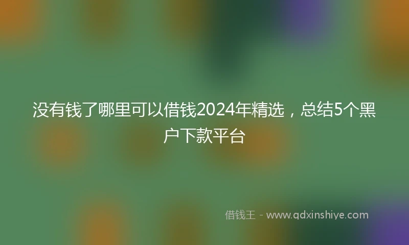 没有钱了哪里可以借钱2024年精选，总结5个黑户下款平台