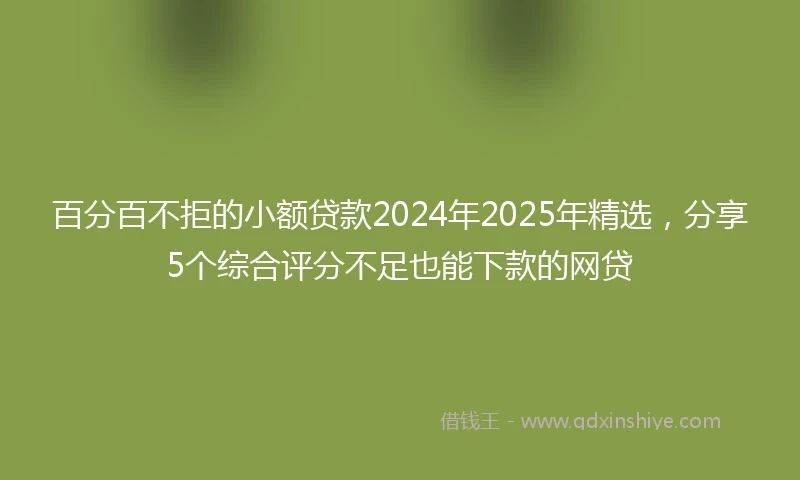百分百不拒的小额贷款2024年2025年精选，分享5个综合评分不足也能下款的网贷