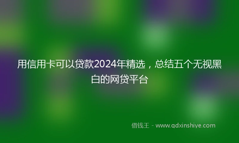 用信用卡可以贷款2024年精选,总结五个无视黑白的网贷平台
