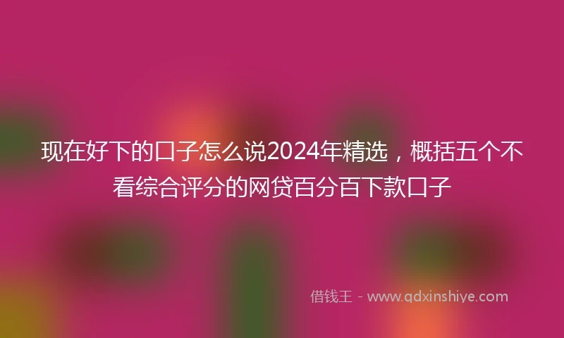 现在好下的口子怎么说2024年精选，概括五个不看综合评分的网贷百分百下款口子