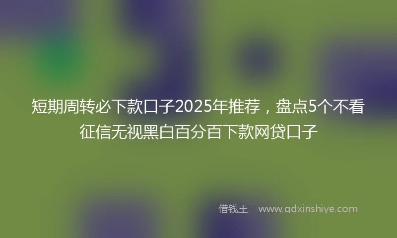 短期周转必下款口子2025年推荐，盘点5个不看征信无视黑白百分百下款网贷口子