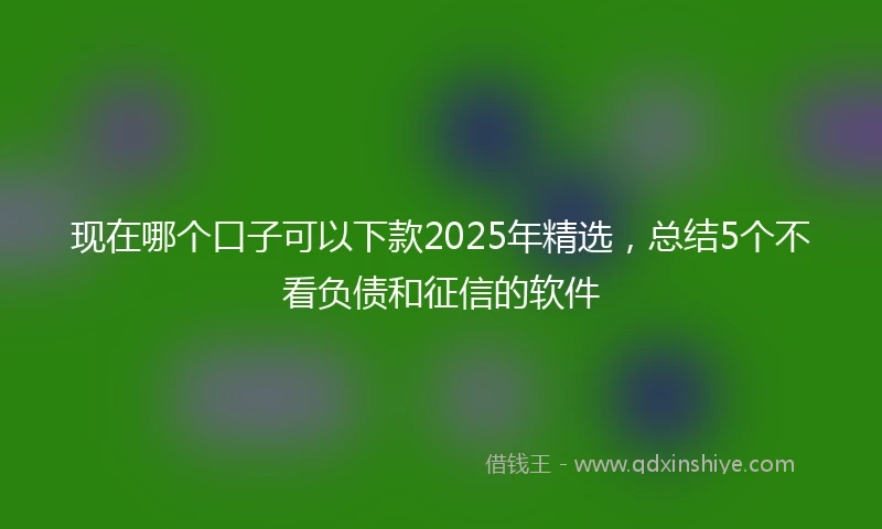 现在哪个口子可以下款2025年精选，总结5个不看负债和征信的软件