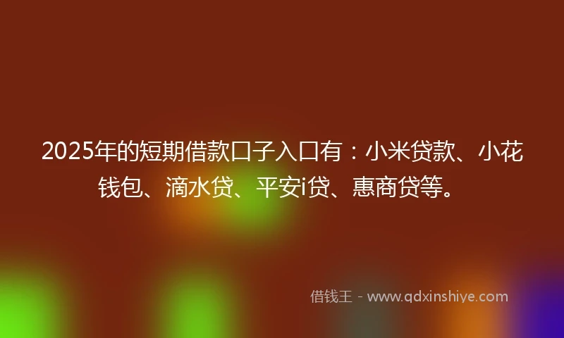 2025年的短期借款口子入口有：小米贷款、小花钱包、滴水贷、平安i贷、惠商贷等。