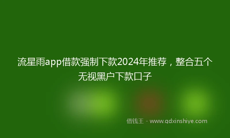 流星雨app借款强制下款2024年推荐，整合五个无视黑户下款口子