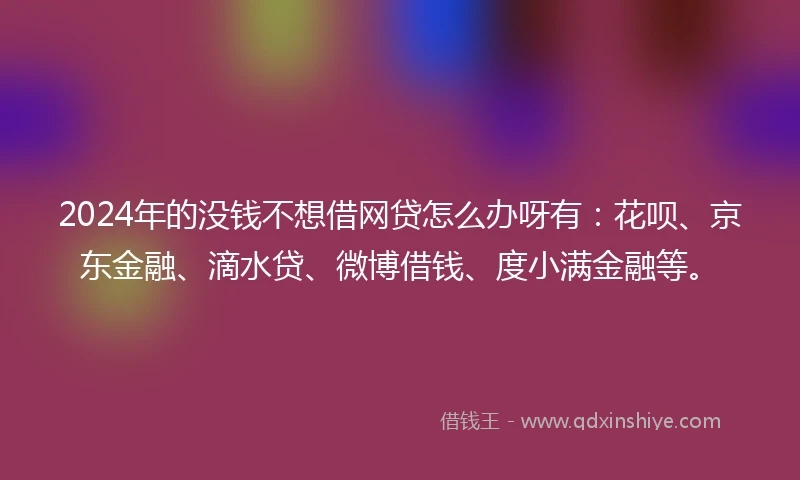 2024年的没钱不想借网贷怎么办呀有：花呗、京东金融、滴水贷、微博借钱、度小满金融等。