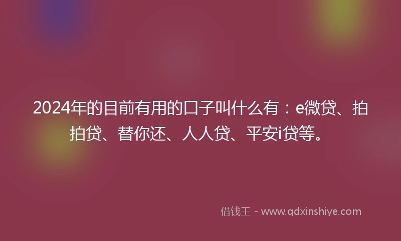 2024年的目前有用的口子叫什么有：e微贷、拍拍贷、替你还、人人贷、平安i贷等。