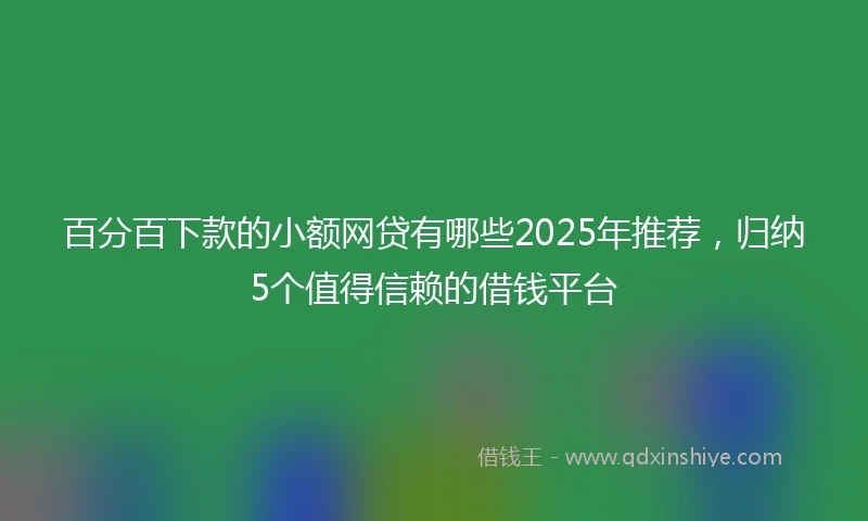 百分百下款的小额网贷有哪些2025年推荐，归纳5个值得信赖的借钱平台
