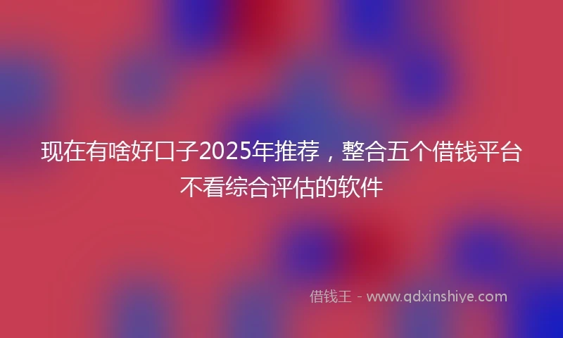 现在有啥好口子2025年推荐，整合五个借钱平台不看综合评估的软件
