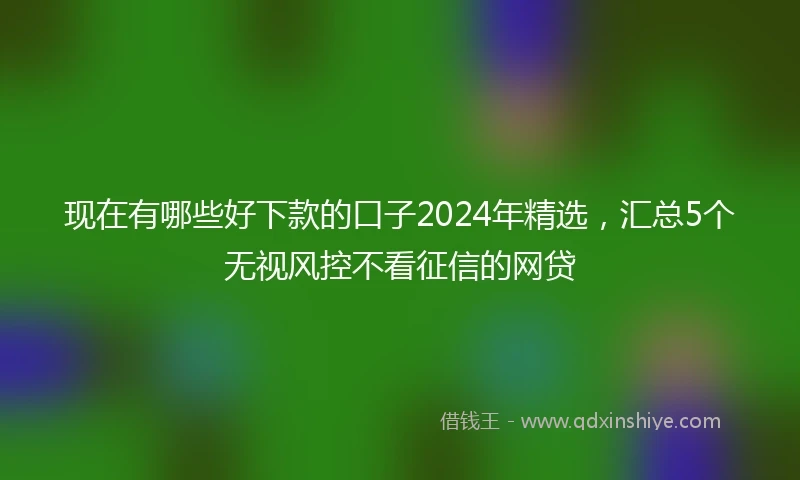 现在有哪些好下款的口子2024年精选,汇总5个无视风控不看征信的网贷