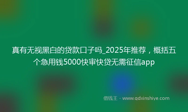 真有无视黑白的贷款口子吗_2025年推荐，概括五个急用钱5000快审快贷无需征信app