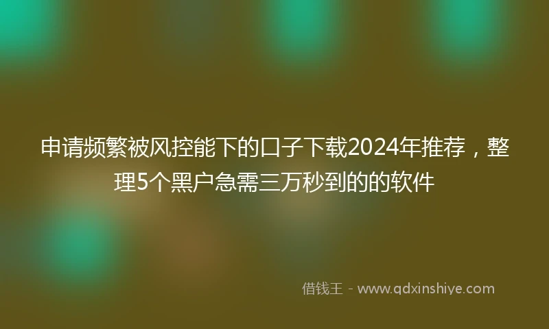 申请频繁被风控能下的口子下载2024年推荐，整理5个黑户急需三万秒到的的软件