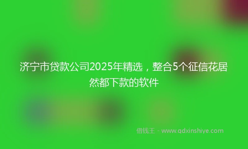 济宁市贷款公司2025年精选，整合5个征信花居然都下款的软件