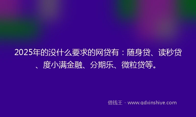 2025年的没什么要求的网贷有：随身贷、读秒贷、度小满金融、分期乐、微粒贷等。