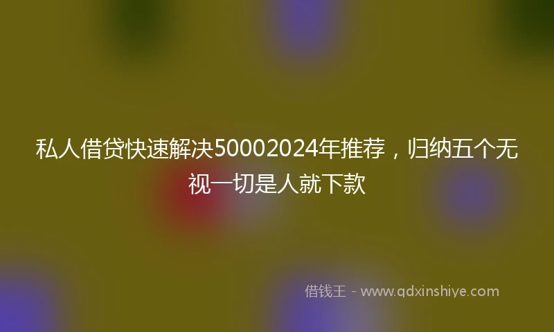 私人借贷快速解决50002024年推荐，归纳五个无视一切是人就下款