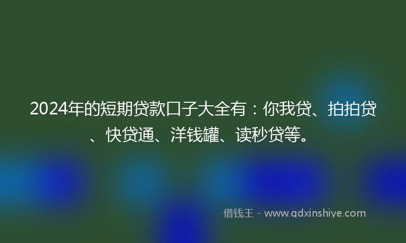 2024年的短期贷款口子大全有：你我贷、拍拍贷、快贷通、洋钱罐、读秒贷等。