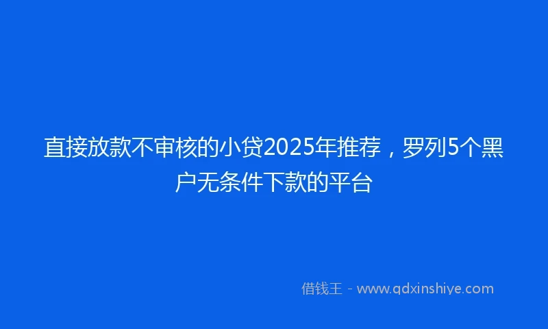 直接放款不审核的小贷2025年推荐，罗列5个黑户无条件下款的平台