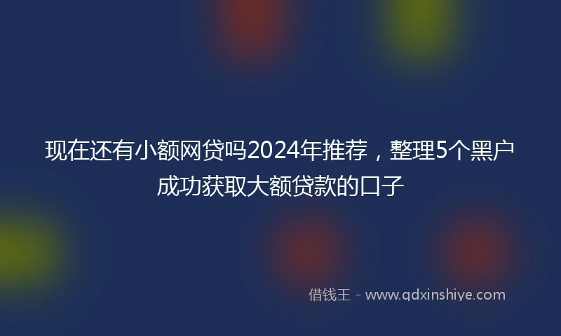 现在还有小额网贷吗2024年推荐，整理5个黑户成功获取大额贷款的口子