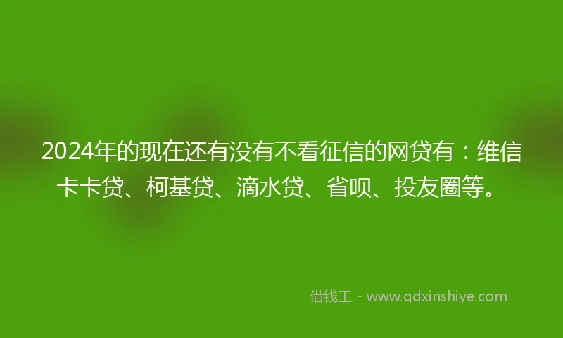 2024年的现在还有没有不看征信的网贷有：维信卡卡贷、柯基贷、滴水贷、省呗、投友圈等。